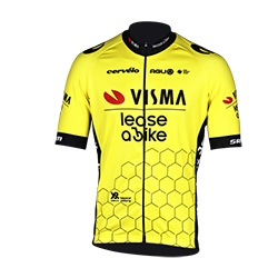 Team Visma - Lease a Bike team jersey